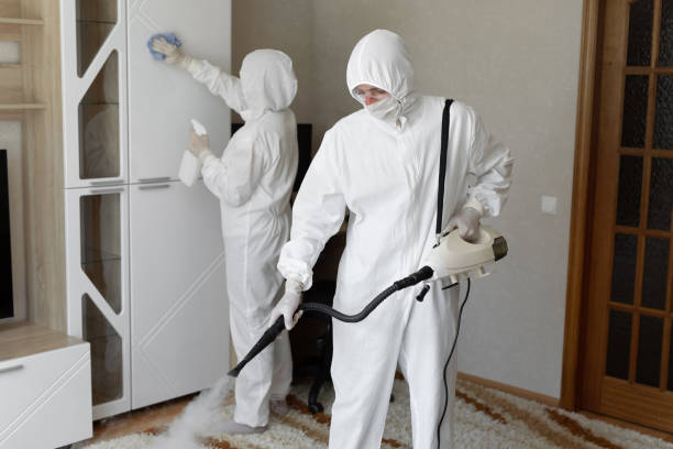 Best Attic Mold Removal  in Devine, TX